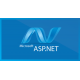 ASP.NET 4.5 (Visual Studio 2015) - Fundamentos